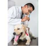 aplicação de vacina cachorro filhote Vila Joaniza