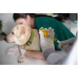 aplicação de vacina de gripe para cachorro Itaim Bibi