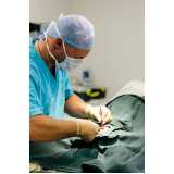 cirurgia medicina veterinária Vila Olimpia