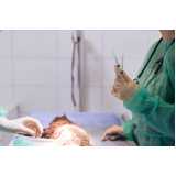 cirurgia veterinária oftalmológica marcar Butantã