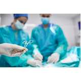 clínica especializada em cirurgia em animais de médio porte Granja Julieta