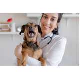 Clínica Veterinária Pet