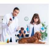 exame de hemograma completo para cachorro Vila Cordeiro