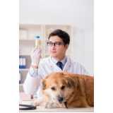 exame de hemograma completo para cachorros Sacomã