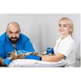 exame de ultrassom para gato marcar Vila Progredior