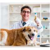 hemograma canino agendar Vila da Saúde