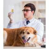 hemograma completo para cachorros Sacomã