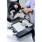 telefone de clínica veterinária para cachorros Vila Olimpia