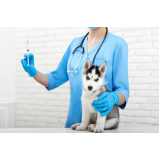vacina antirrábica cachorro Oscar Freire