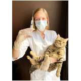 vacina contra raiva gato Vila Tramontano