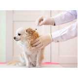 vacina giardia para cães Super Quadra Morumbi
