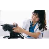 veterinário especialista em dermatologia animal Brooklin Novo