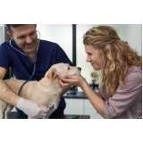 veterinário especialista em endoscopia clínica Vila Mascote