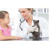 veterinário especialista em felinos telefone Jardim Leonor
