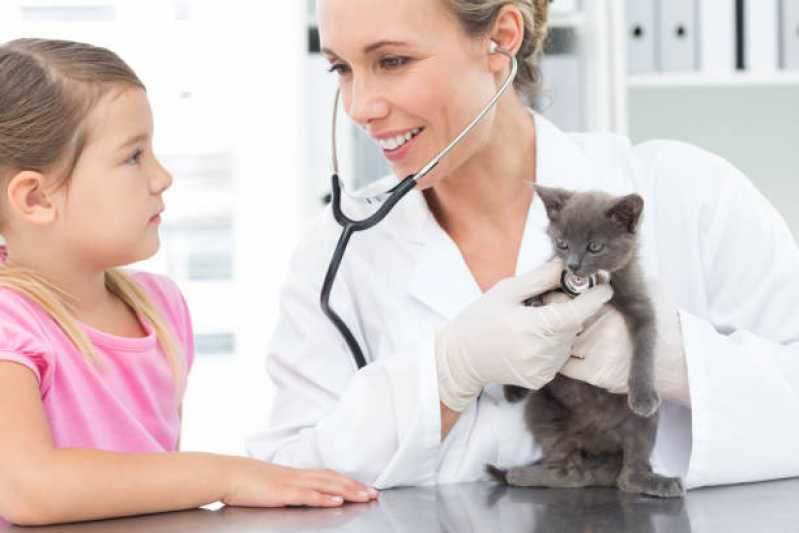Veterinário Especialista em Felinos Telefone Socorro - Veterinário Especializado em Gatos